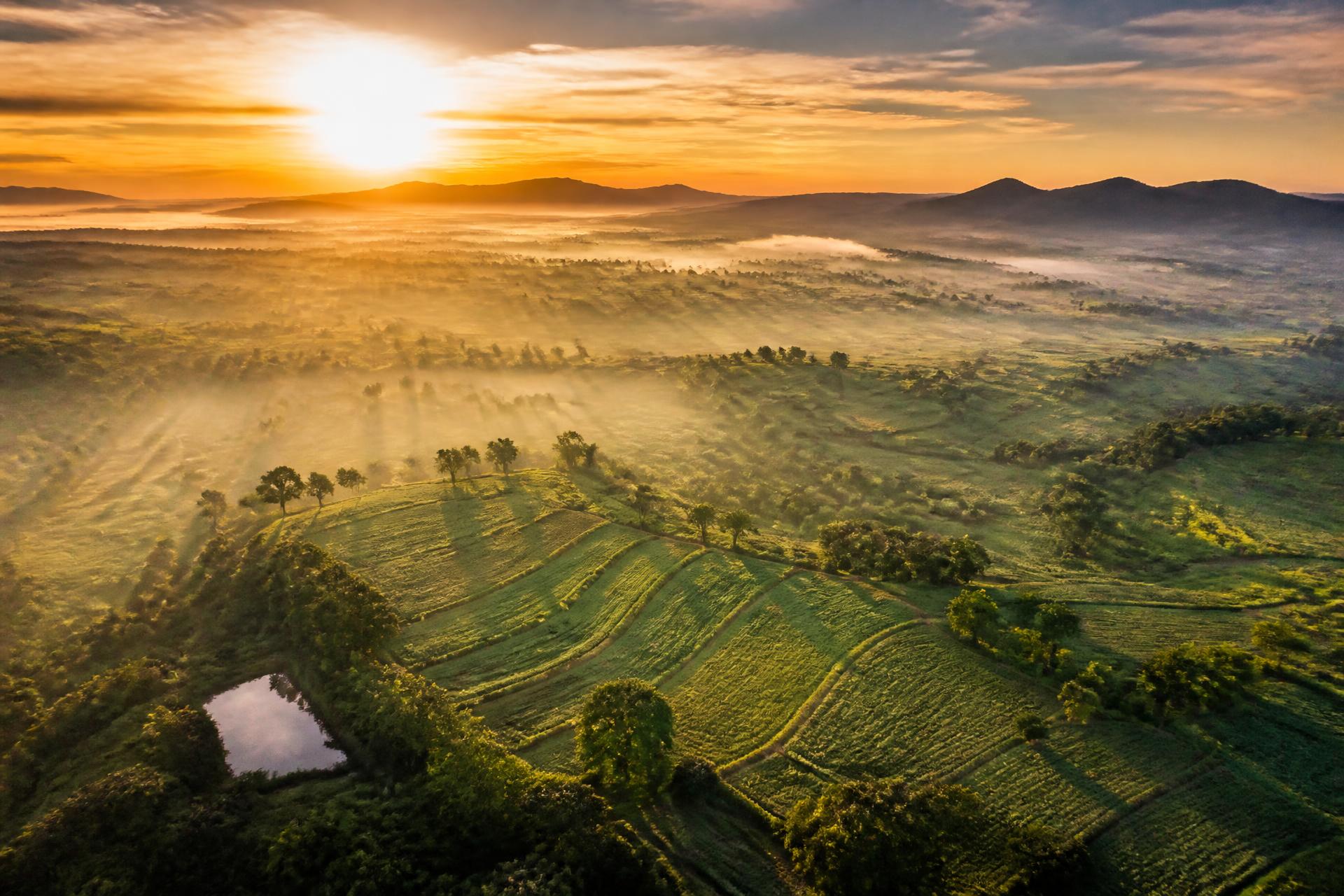 Aerial view of a Gujarat agricultural landscape at sunrise